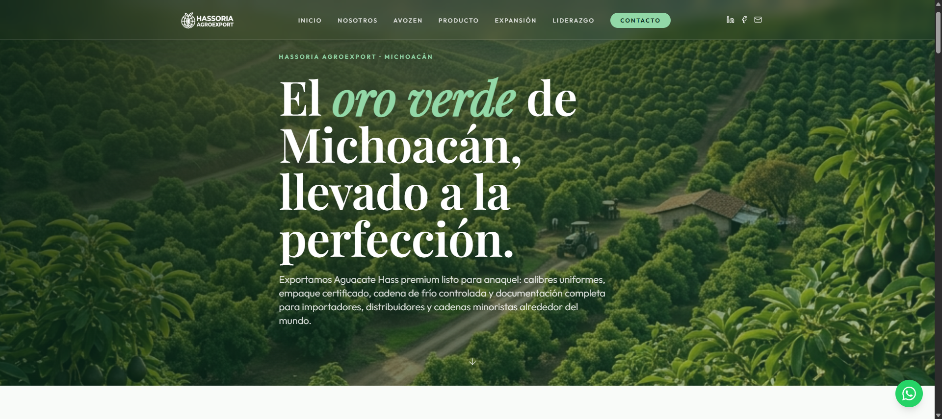 Preview del proyecto Hassoria AgroExport